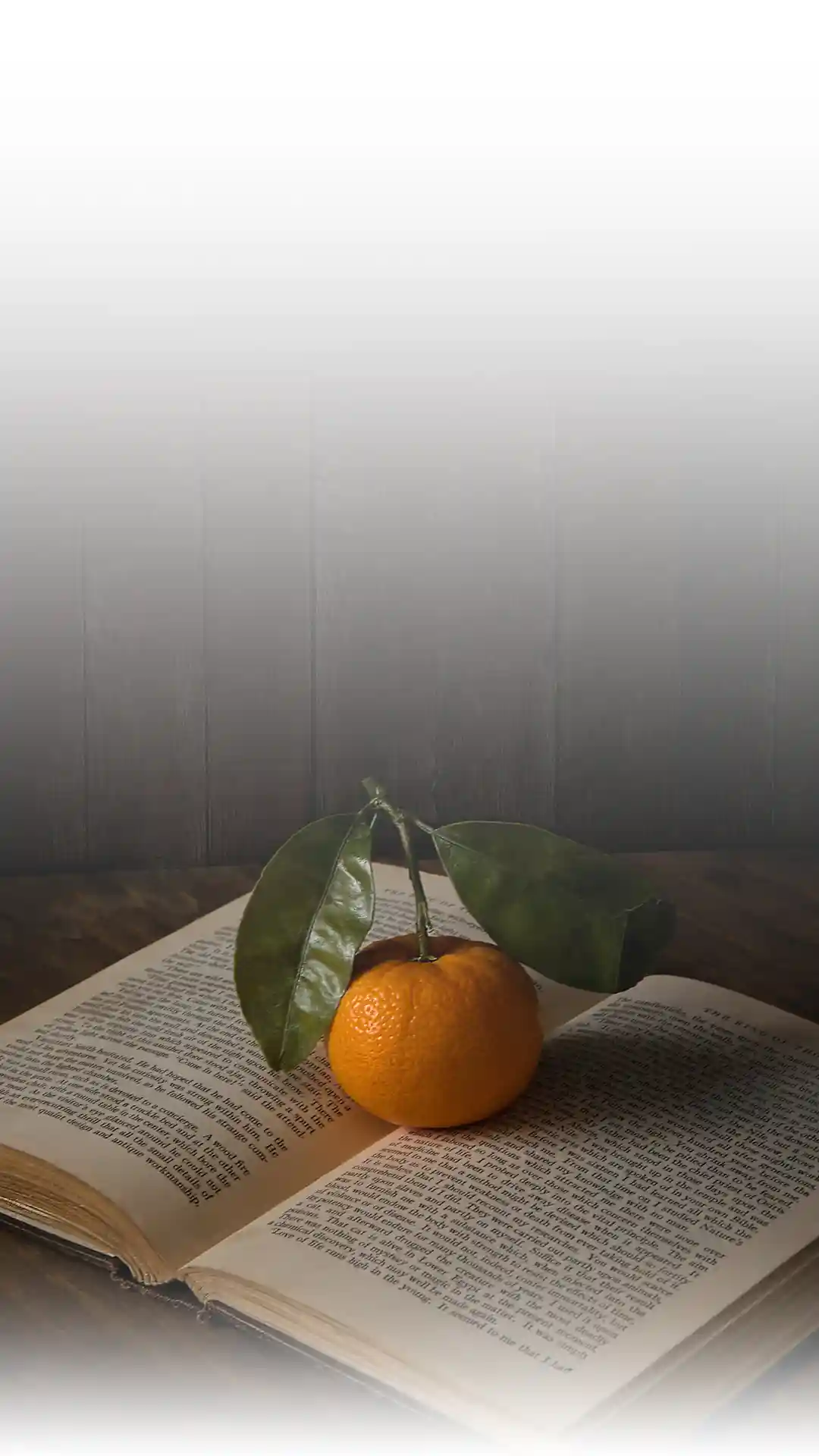 Narracja Uslugi Lektorskie Copy 3