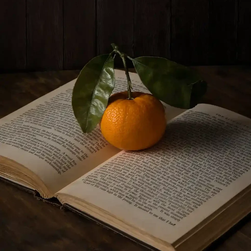 Narracyjne Usługi Lektorskie