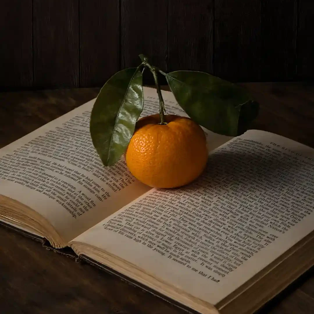 Narracyjne Usługi Lektorskie